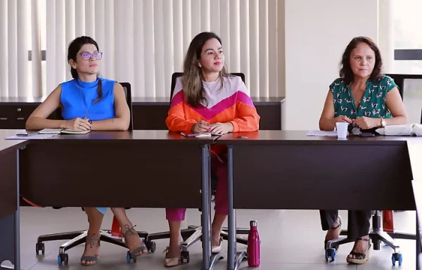 Melhora na assistência obstétrica é pauta de reunião entre Defensoria, MP e gestoras de maternidades