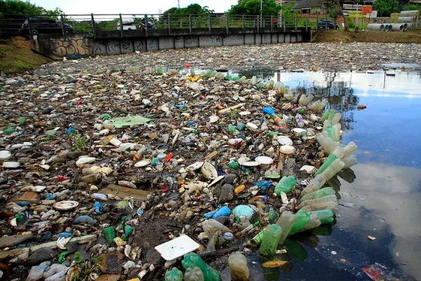 Defensoria recomenda à Semulsp elaboração de cronograma de limpeza dos igarapés de Manaus