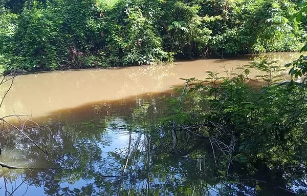 Defensoria apura denúncia de poluição em lago de Coari