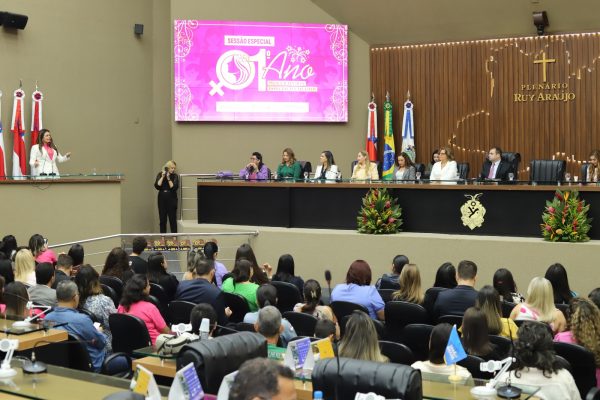 DPE participa de solenidade especial em homenagem ao 1º ano da Procuradoria da Mulher da Aleam