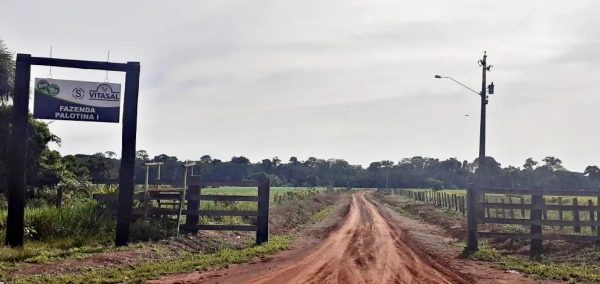 TJAM determina envio do processo sobre a Fazenda Palotina à Justiça Federal