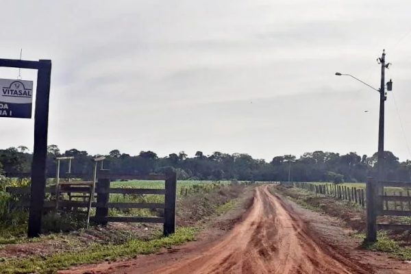 TJAM determina envio do processo sobre a Fazenda Palotina à Justiça Federal