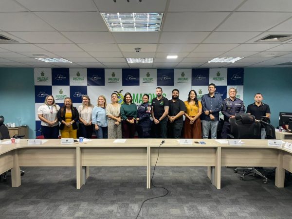 DPE-AM participa de reunião para o fortalecimento de rede de proteção às mulheres no Amazonas