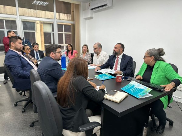 GFM/TJAM apresenta à DPE-AM relatório sobre situação de pessoas indígenas na Justiça Criminal