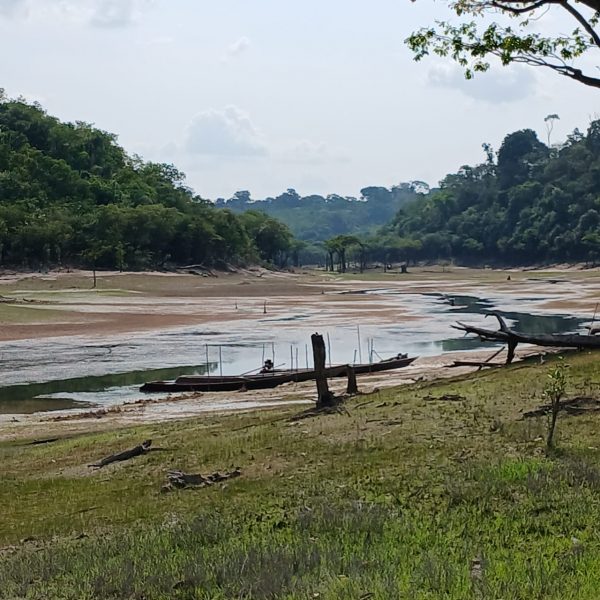 DPE e MP ajuízam ação cobrando medidas urgentes para mitigar os impactos da seca em Maués