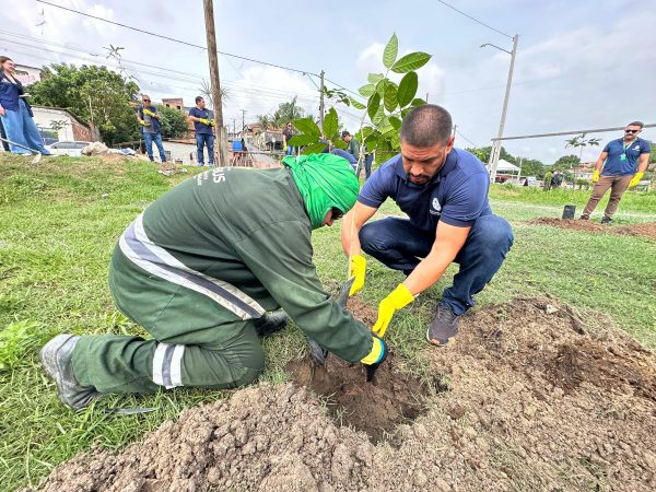 Defensoria do Amazonas realiza plantio de mudas de árvores na nascente do Igarapé do Mindu