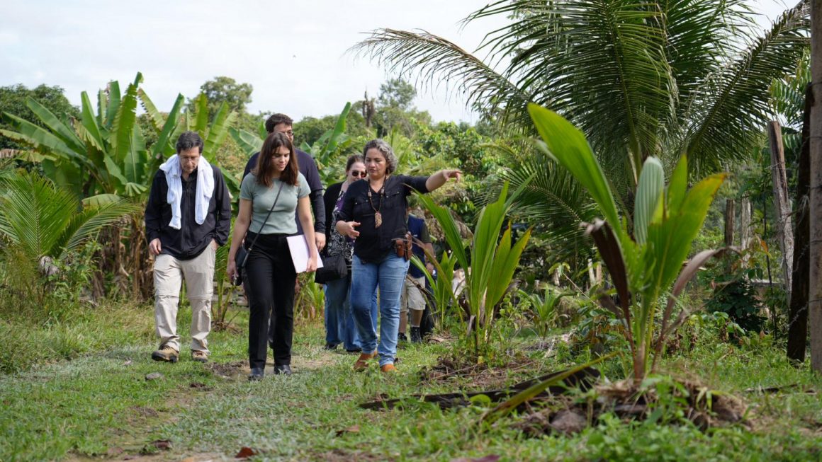 DPE avança na construção do ‘Cinturão Verde’, proposta sustentável para agricultura familiar