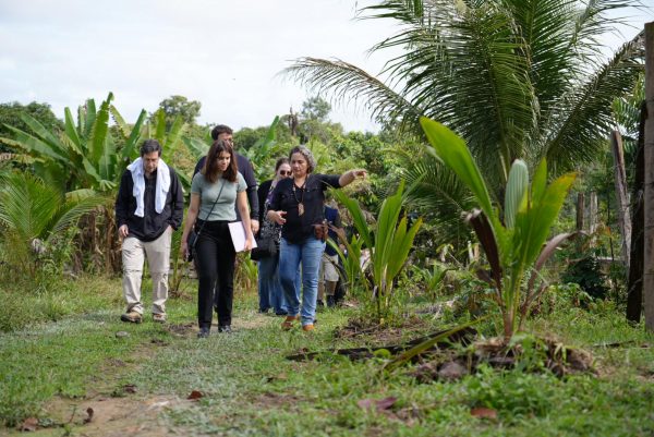 DPE avança na construção do ‘Cinturão Verde’, proposta sustentável para agricultura familiar