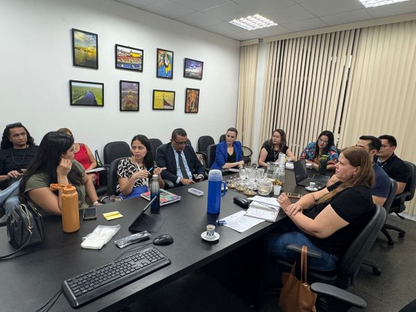 DPE participa da aprovação de diretrizes para a implementação da Política Antimanicomial