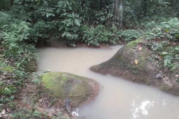 DPE obtém decisão para conter os avanços em poluição de igarapé causada por obras em termelétrica
