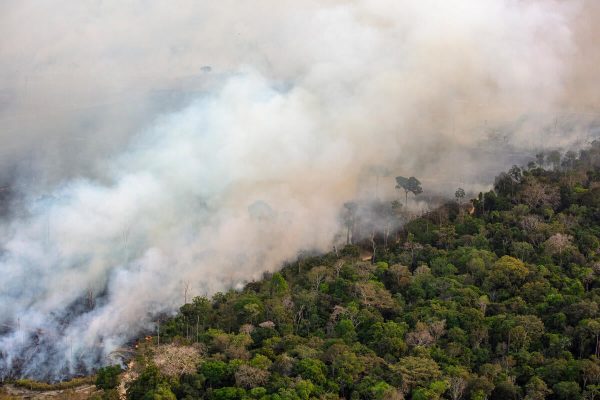 Defensoria Pública monitora a situação das queimadas no Amazonas