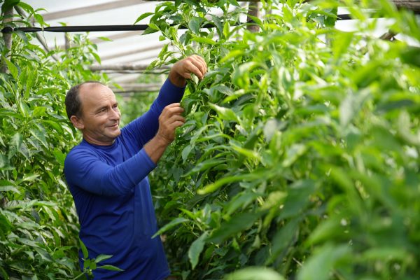 Defensoria e UEA apresentam iniciativas que promovem a justiça climática na COP30