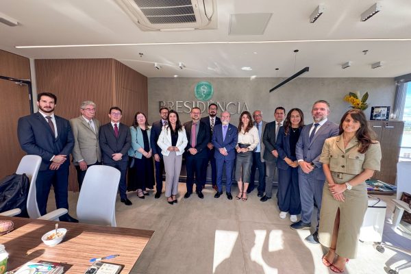 Defensoria integra reunião nacional para aperfeiçoar relatórios médicos usados na defesa do direito à saúde