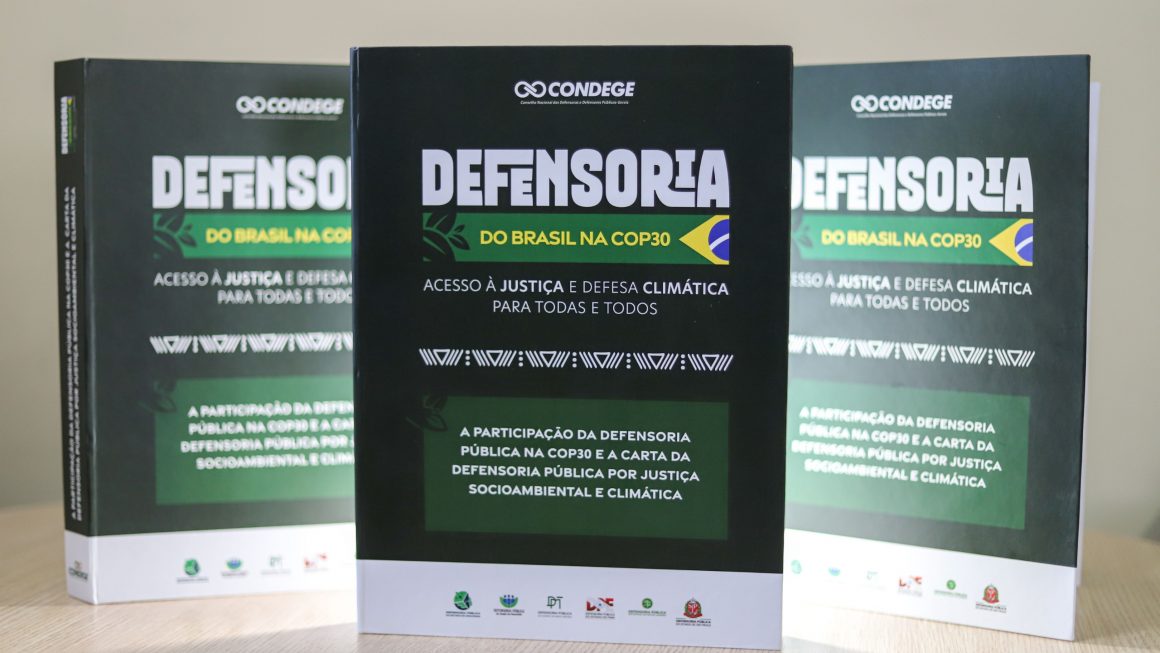 A atuação da Defensoria Pública do Estado do Amazonas (DPE-AM) na promoção da justiça climática e na defesa de populações em situação de vulnerabilidade ganha destaque no lançamento da obra coletiva “A Participação da Defensoria Pública na COP30” e da Carta da Defensoria Pública por Justiça Socioambiental e Climática. A publicação reúne artigos de defensores públicos, entre eles quatro do Amazonas, e será lançada na terça-feira (9/5), no Museu da Amazônia (Musa), localizado na Avenida Margarita, 6305, bairro Jorge Teixeira, em Manaus.