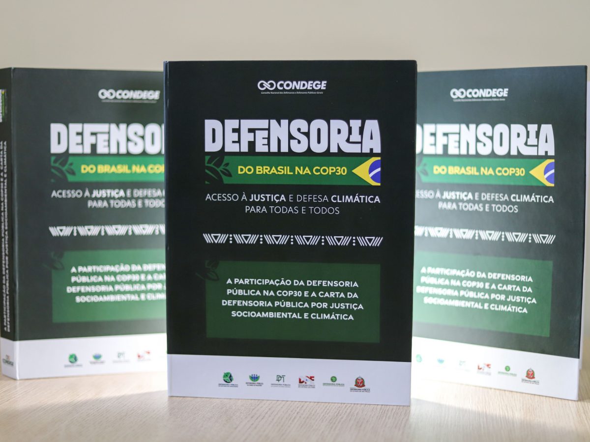 A atuação da Defensoria Pública do Estado do Amazonas (DPE-AM) na promoção da justiça climática e na defesa de populações em situação de vulnerabilidade ganha destaque no lançamento da obra coletiva “A Participação da Defensoria Pública na COP30” e da Carta da Defensoria Pública por Justiça Socioambiental e Climática. A publicação reúne artigos de defensores públicos, entre eles quatro do Amazonas, e será lançada na terça-feira (9/5), no Museu da Amazônia (Musa), localizado na Avenida Margarita, 6305, bairro Jorge Teixeira, em Manaus.