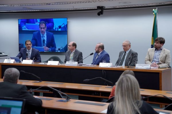 Na Câmara dos Deputados, Defensoria do Amazonas cobra compromisso da Âmbar Energia com cronograma público e prestação de contas