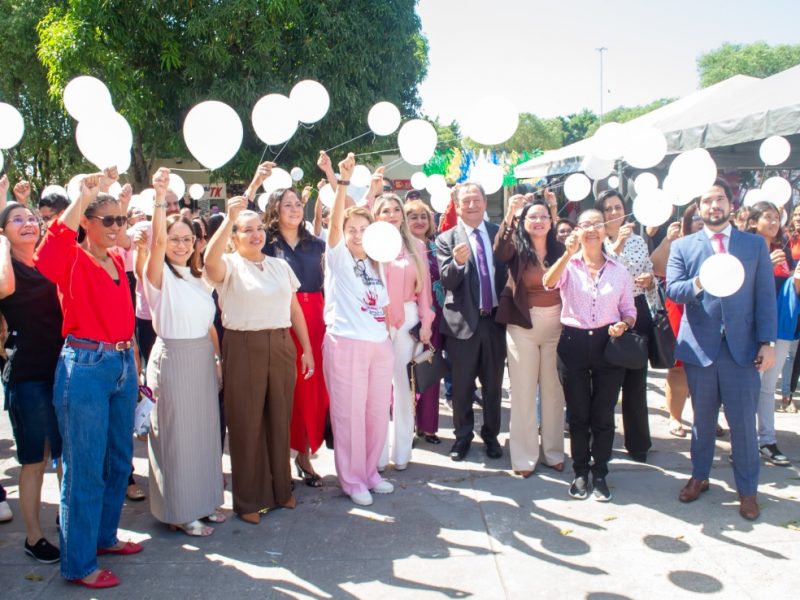 A Defensoria Pública do Estado do Amazonas (DPE-AM) participou, nesta segunda-feira (17/08), da abertura da “33ª Semana Justiça pela Paz em Casa”. A solenidade aconteceu na Praça Três Poderes, em Iranduba, e integra a programação nacional do Conselho Nacional de Justiça (CNJ), em parceria com os Tribunais de Justiça estaduais, com o objetivo de ampliar a efetividade da Lei Maria da Penha e agilizar o andamento dos processos relacionados à violência de gênero.