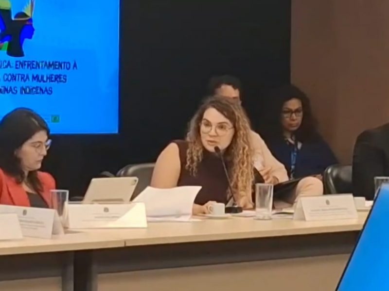 Em oficina nacional, instituição apresentou experiências desenvolvidas no Amazonas e contribuiu com propostas para fortalecer mecanismos de proteção e acesso à Justiça