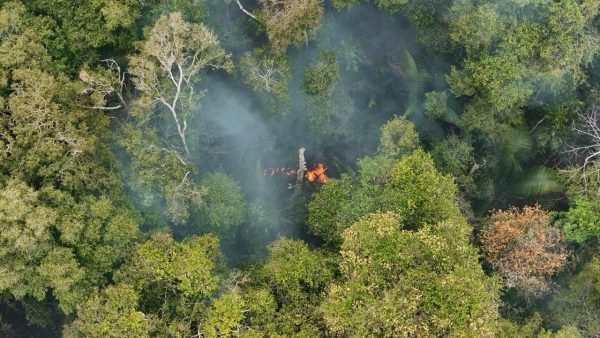 Defensoria Pública participa de articulação institucional para enfrentar impactos das queimadas e da estiagem no Amazonas