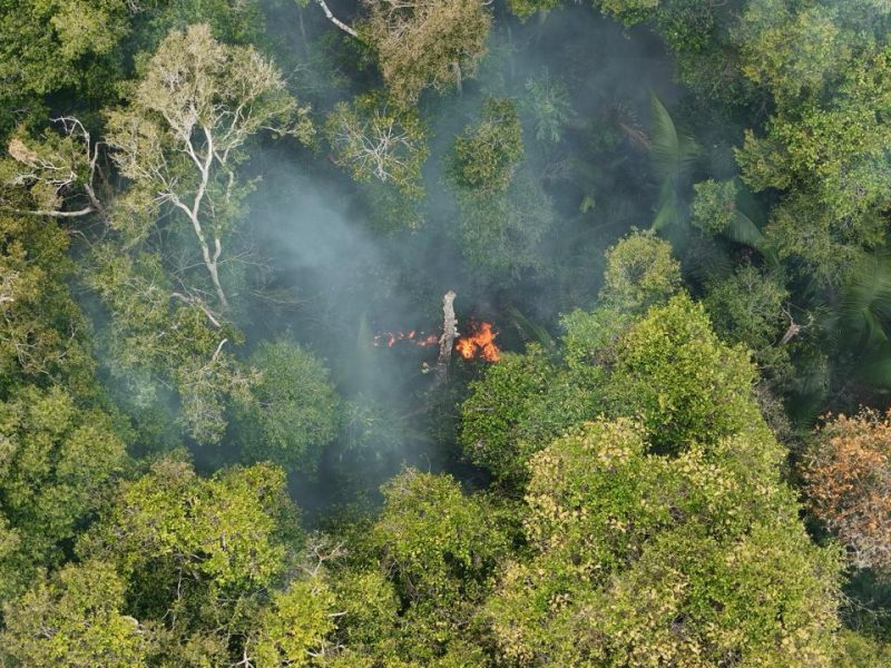 O Amazonas combateu mais de 21 mil focos de incêndio na capital e no interior entre junho e outubro deste ano. Para a população, os efeitos são sentidos no dia a dia, com a cidade encoberta por fumaça, afetando a rotina e a saúde. Diante desse cenário, a Defensoria Pública do Amazonas (DPAM) participou, nesta quarta-feira (14/10), de uma reunião com representantes dos Poderes e de outros órgãos para debater e alinhar uma atuação conjunta diante dos impactos dos incêndios florestais e da estiagem no estado. Para o defensor público geral, Rafael Barbosa, a presença da instituição tem o objetivo de buscar respostas conjuntas para os efeitos da crise ambiental sobre a população amazonense, principalmente na área da saúde, em que as pessoas mais vulneráveis, como crianças e idosos, sofrem mais.